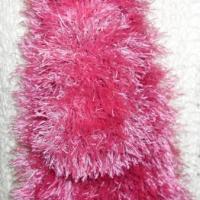 SDC11534.jpg