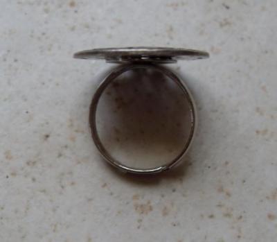 SDC12519.jpg
