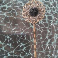 Img 20151210 162004