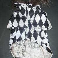 Sdc10489